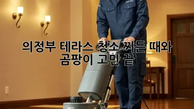 의정부 테라스 청소, 찌든 때와 곰팡이 고민 끝!